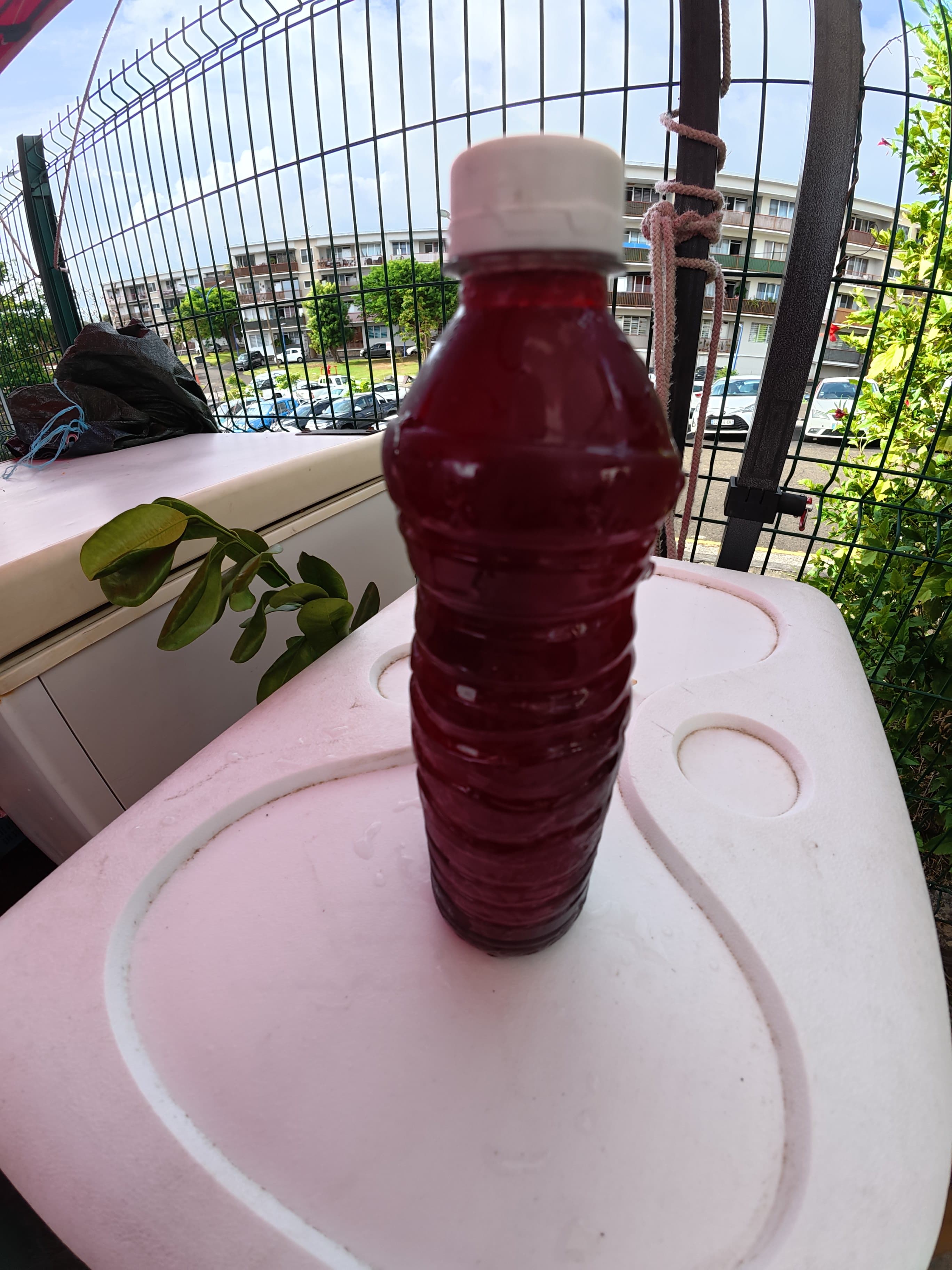 Jus frais groseille-gingembre 50 cl