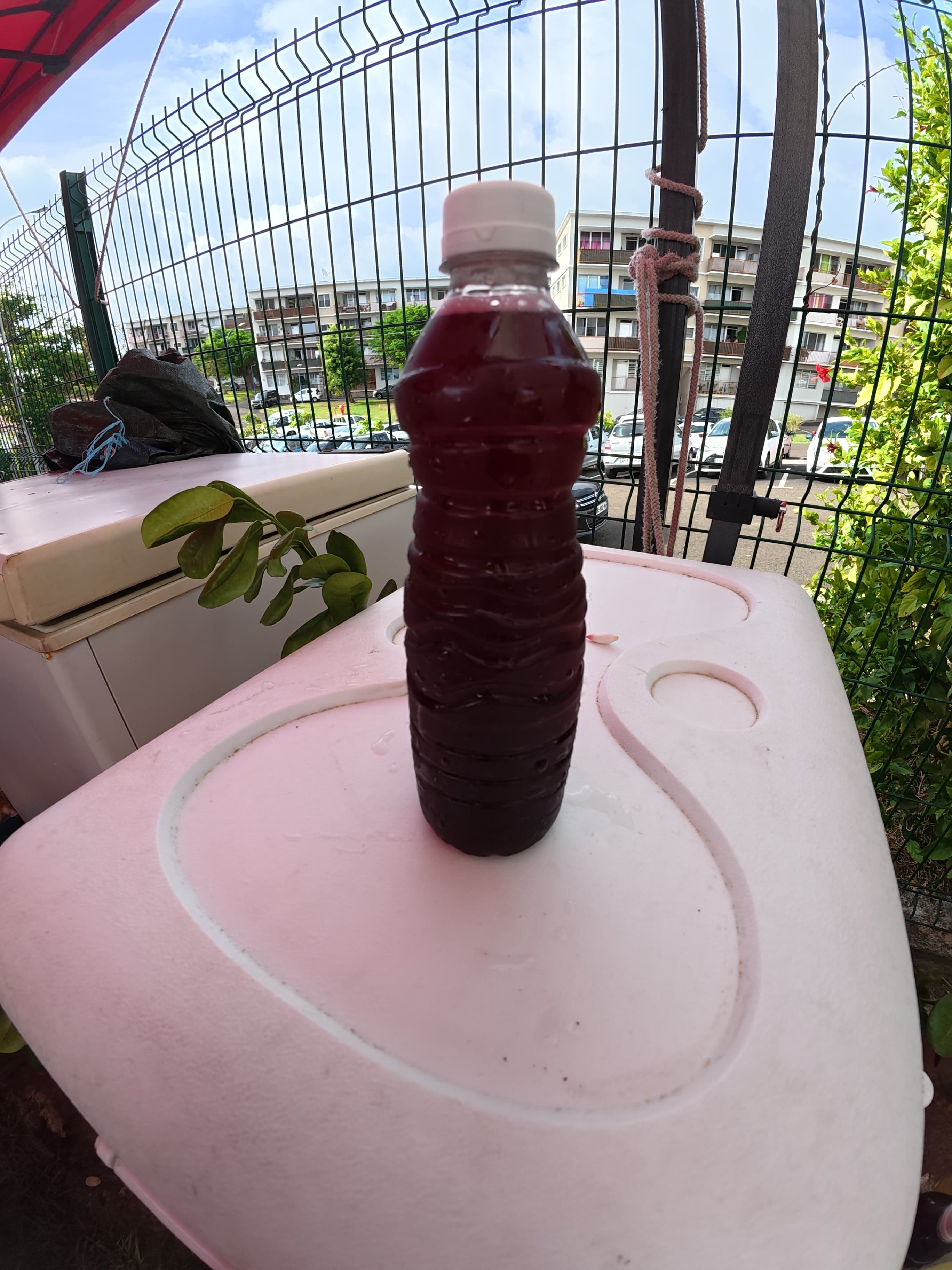 Jus frais groseille 50 cl