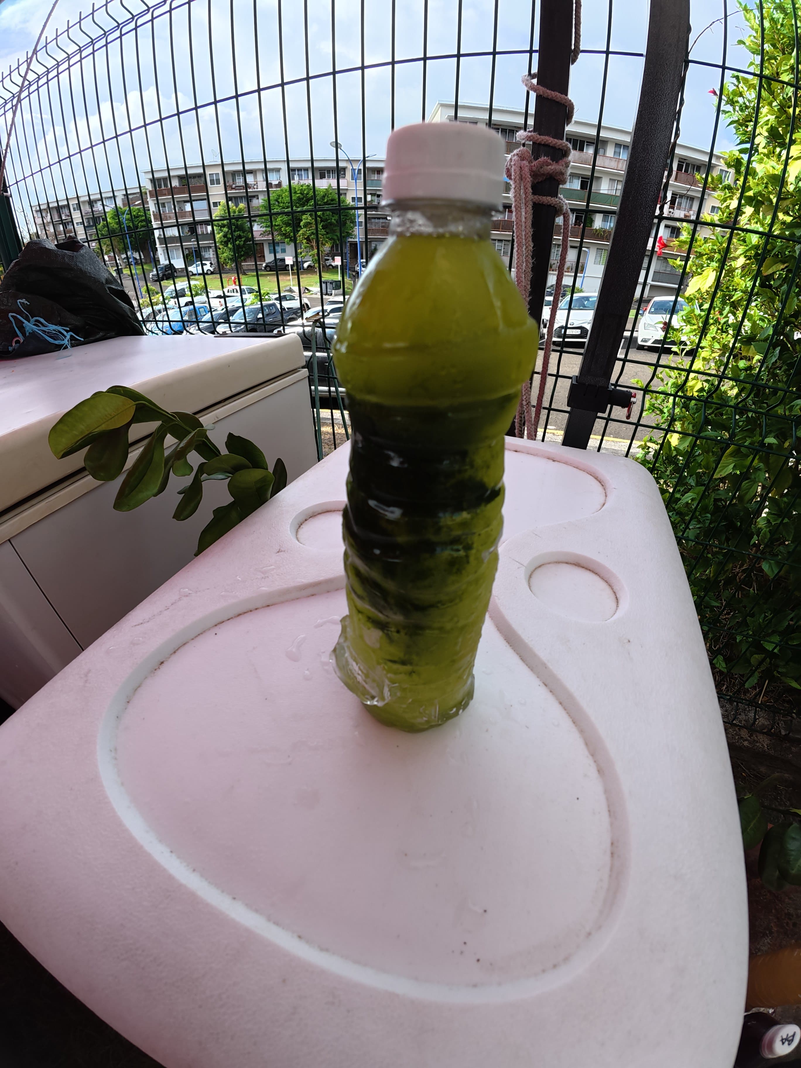 Jus frais moringa-gingembre 50 cl